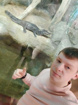 Сценарист Sandi Reborn