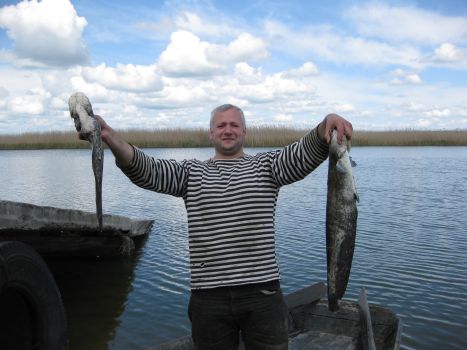 Писатель. Артур Олейников