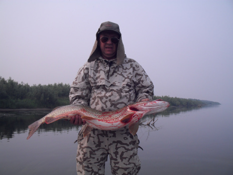 писатель Михаил Мещеряков