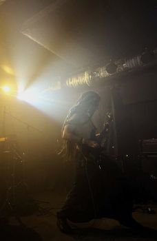 Сценарист, Режиссер, Саунддизайнер, Кот Савелий Меркулов